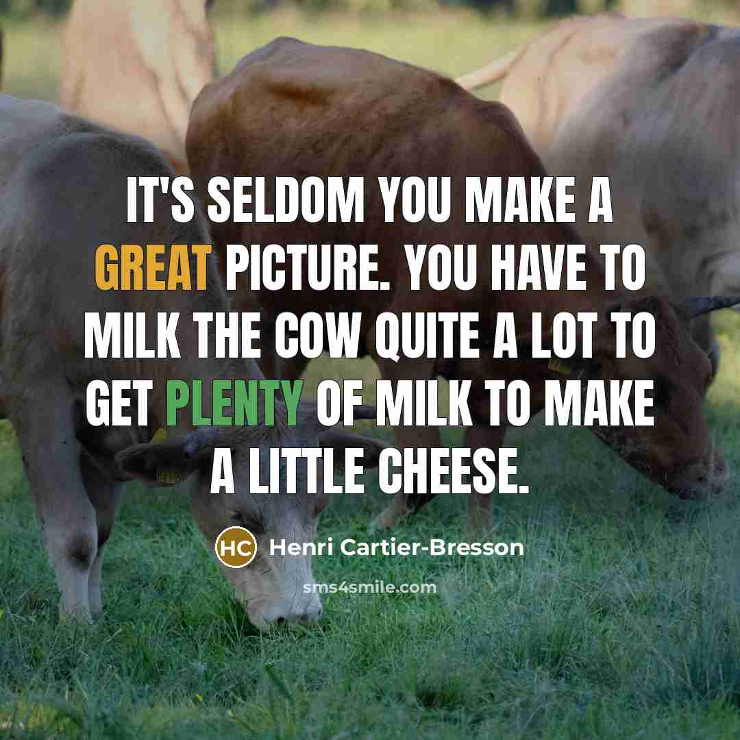 “It's seldom you make a great picture. you have to…” quote by Henri Cartier-Bresson