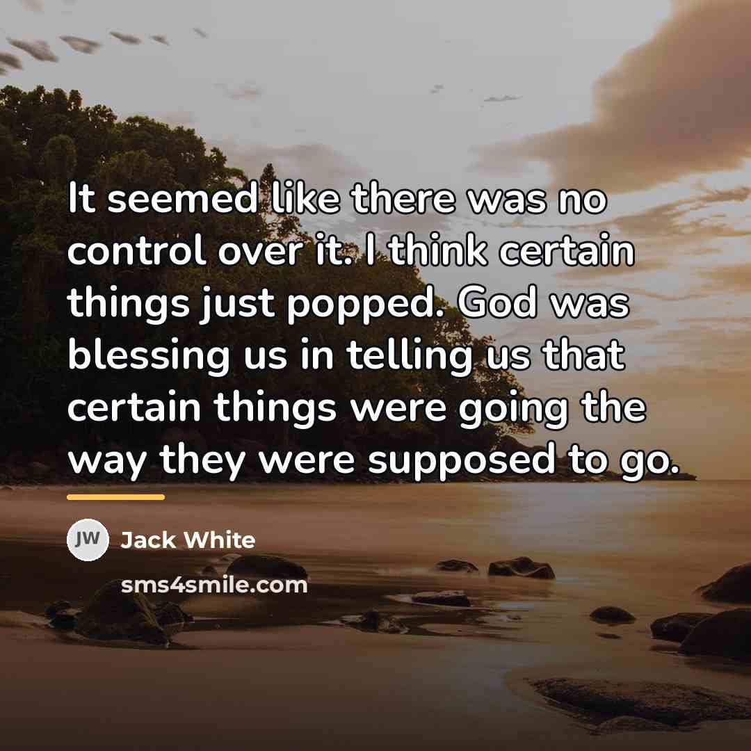 “It seemed like there was no control over it. I…” quote by Jack White