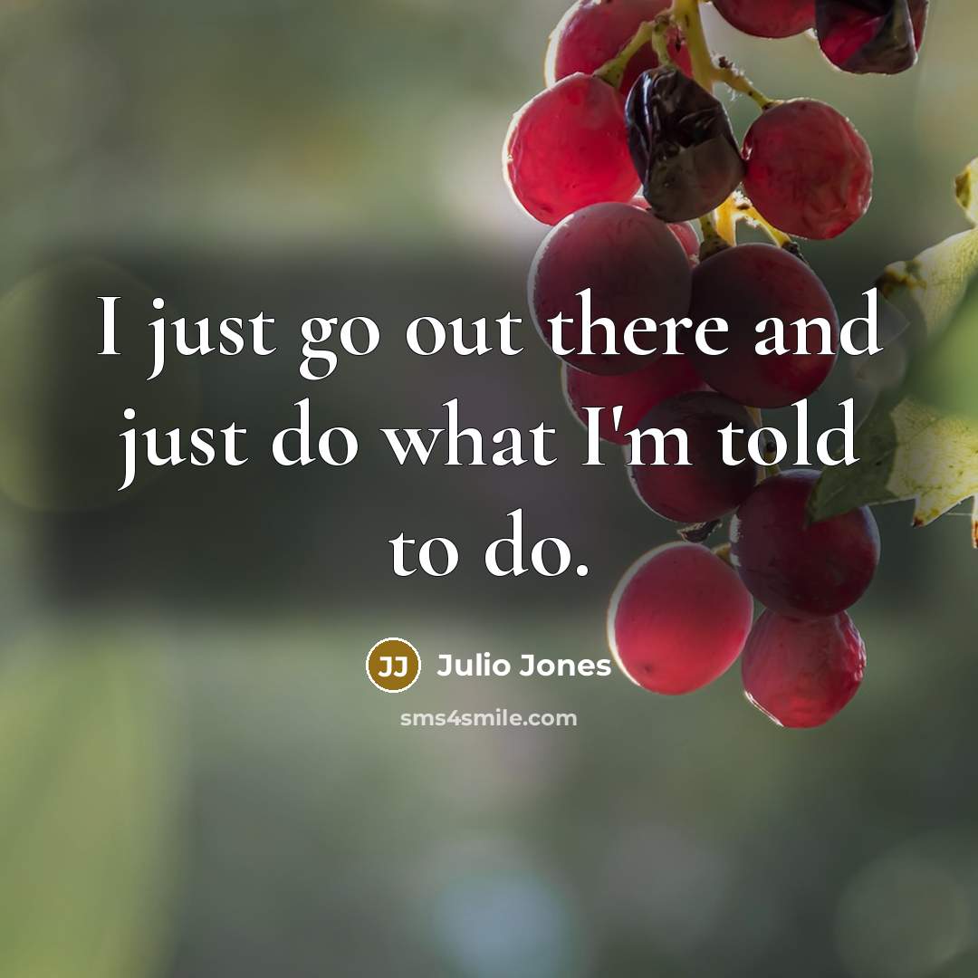 “I just go out there and just do what I'm…” quote by Julio Jones