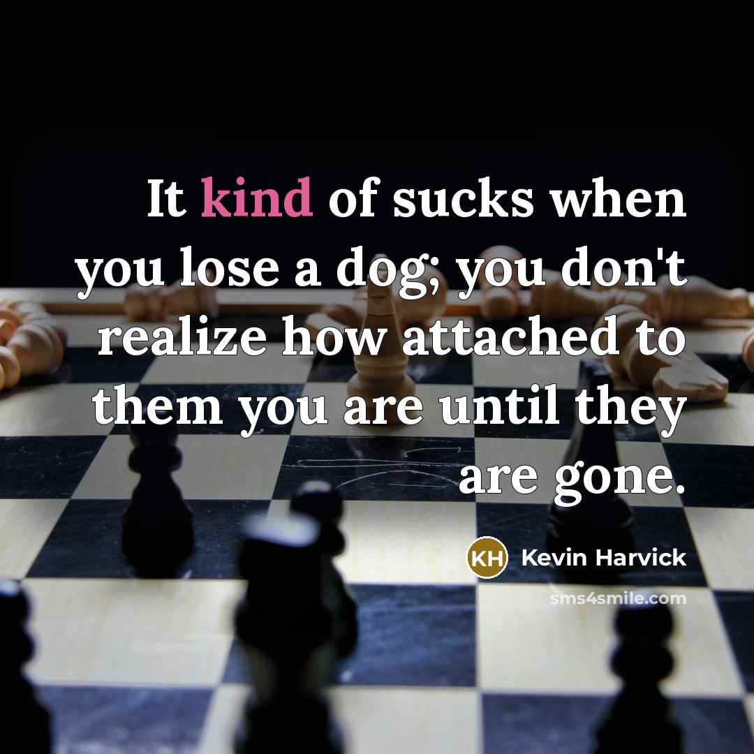 “It kind of sucks when you lose a dog; you…” quote by Kevin Harvick