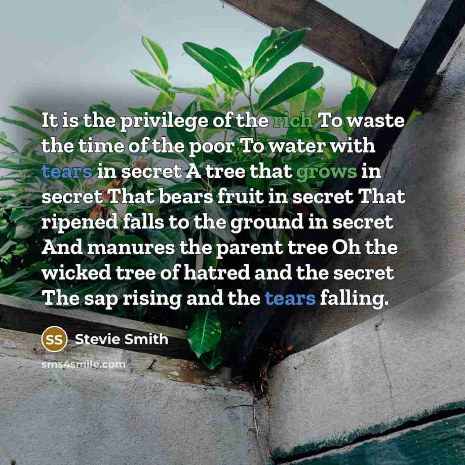 “It is the privilege of the rich To waste the…” quote by Stevie Smith