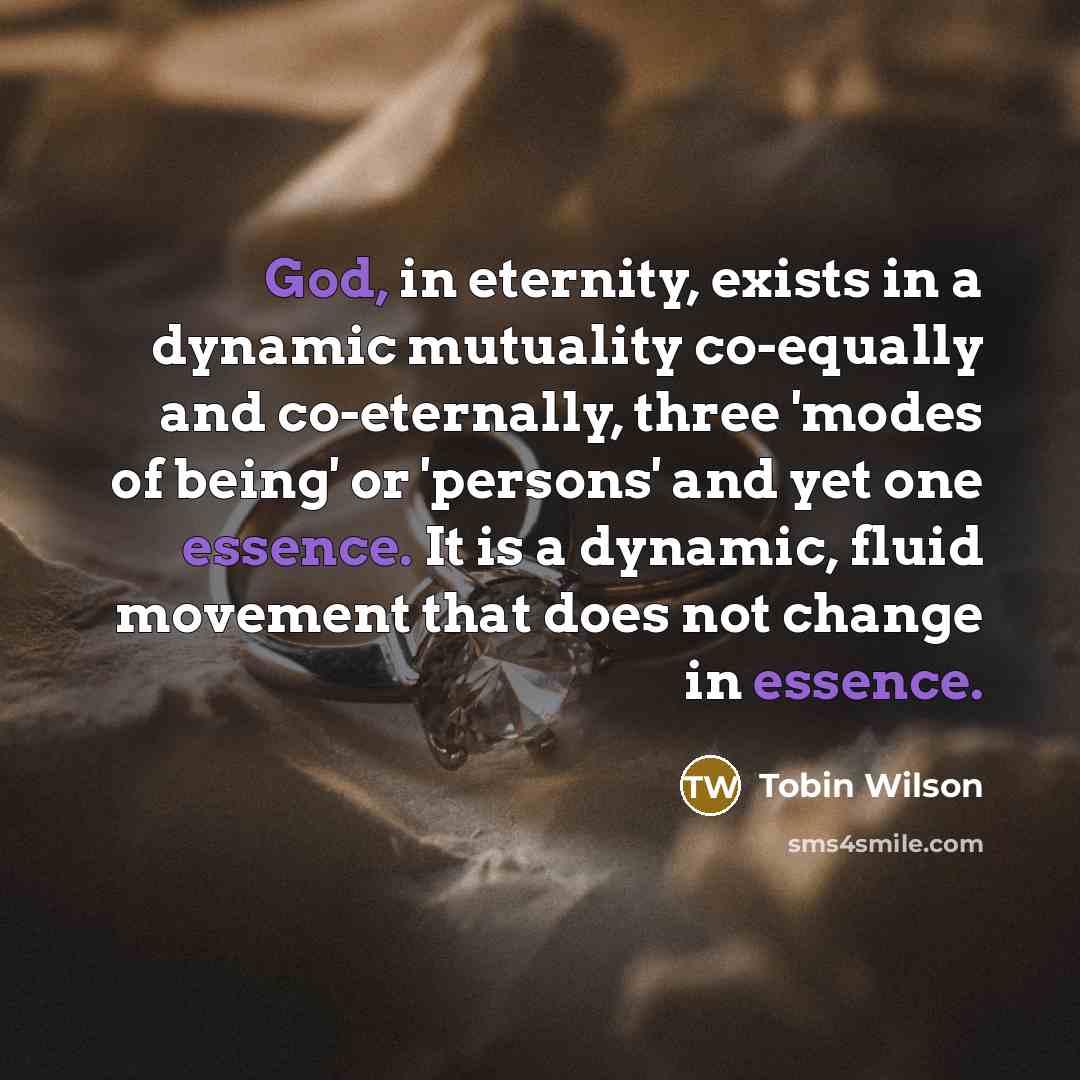 “God, in eternity, exists in a dynamic mutuality co-equally and co-eternally, three 'modes of being' or 'persons' and yet one essence. It is a dynamic, fluid movement that does not change in essence.” quote by Tobin Wilson