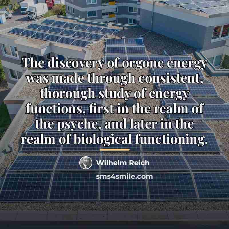 “The discovery of orgone energy was made through consistent, thorough…” quote by Wilhelm Reich