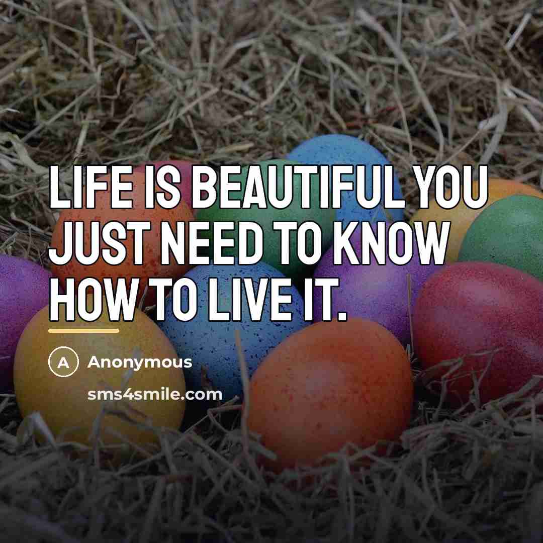 “Life is beautiful you JUST need to know how to…” quote by Anonymous