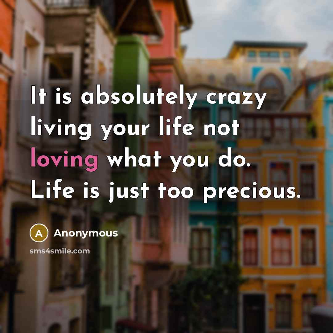 “It is absolutely crazy living your life not loving what…” quote by Anonymous