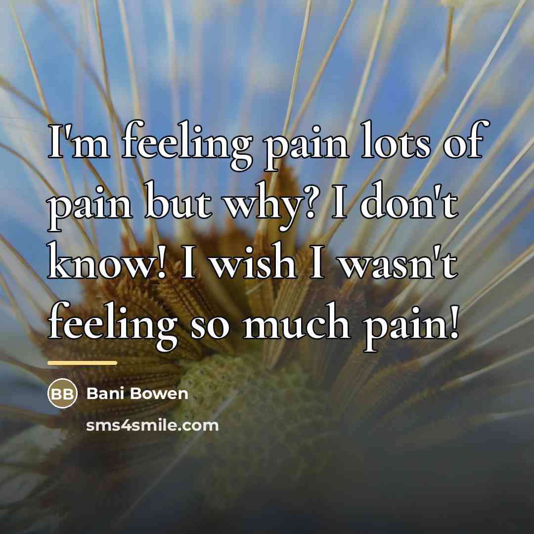 “I'm feeling pain lots of pain but why? I don't…” quote by Bani Bowen