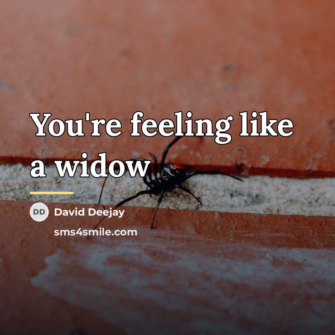 “You're feeling like a widow…” quote by David Deejay