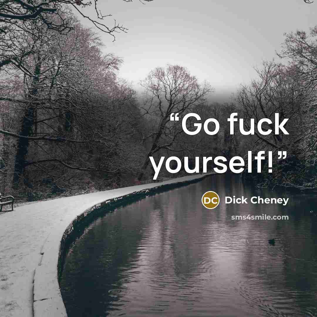 “Go fuck yourself!” quote by Dick Cheney
