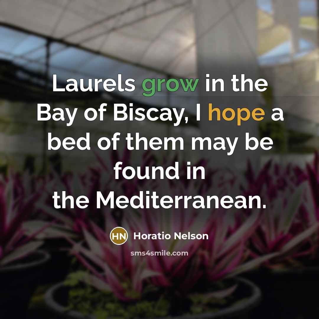 “Laurels grow in the Bay of Biscay, I hope a…” quote by Horatio Nelson