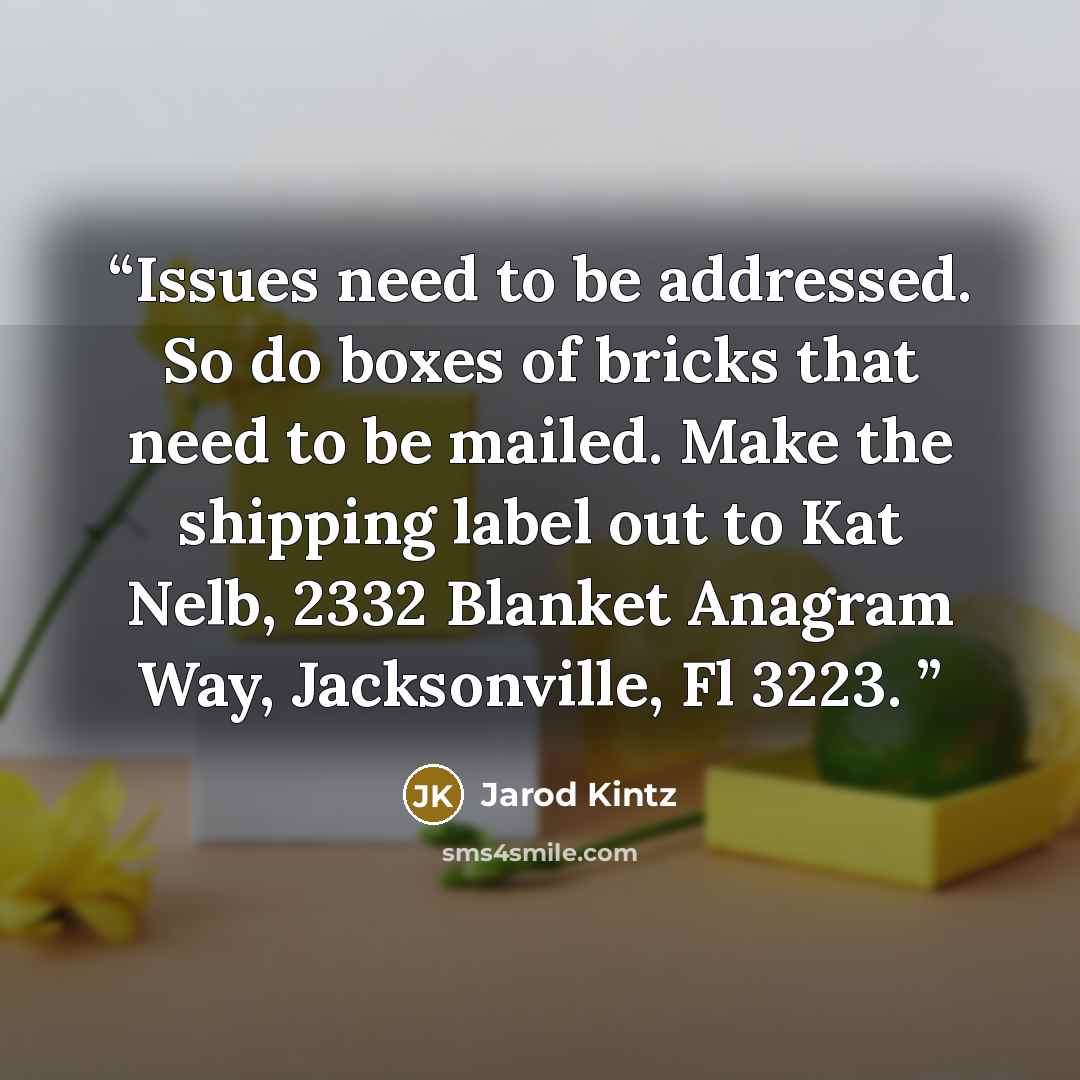 “Issues need to be addressed. So do boxes of bricks that need to be mailed. Make the shipping label out to Kat Nelb, 2332 Blanket Anagram Way, Jacksonville, Fl 3223.” quote by Jarod Kintz