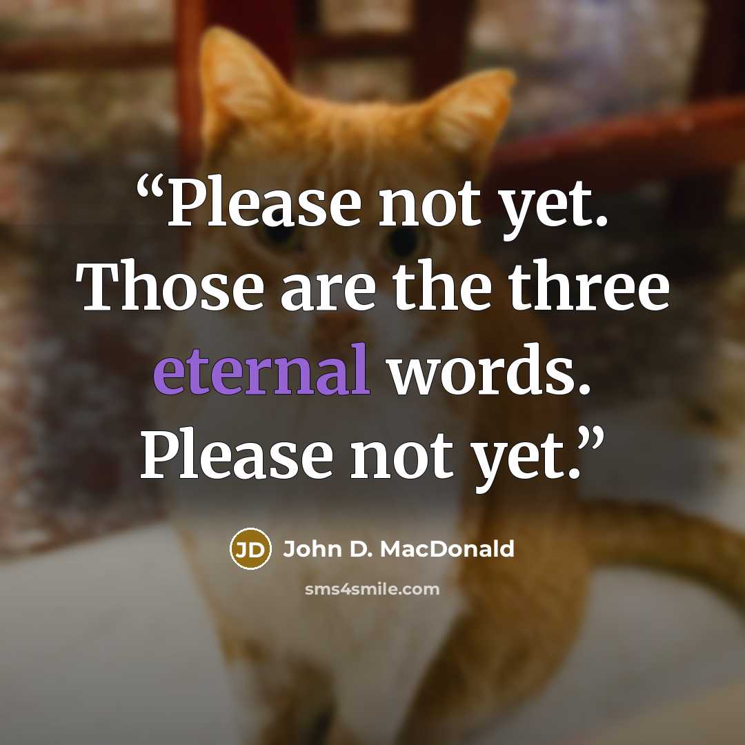 “Please not yet. Those are the three eternal words. Please not yet.” quote by John D. MacDonald