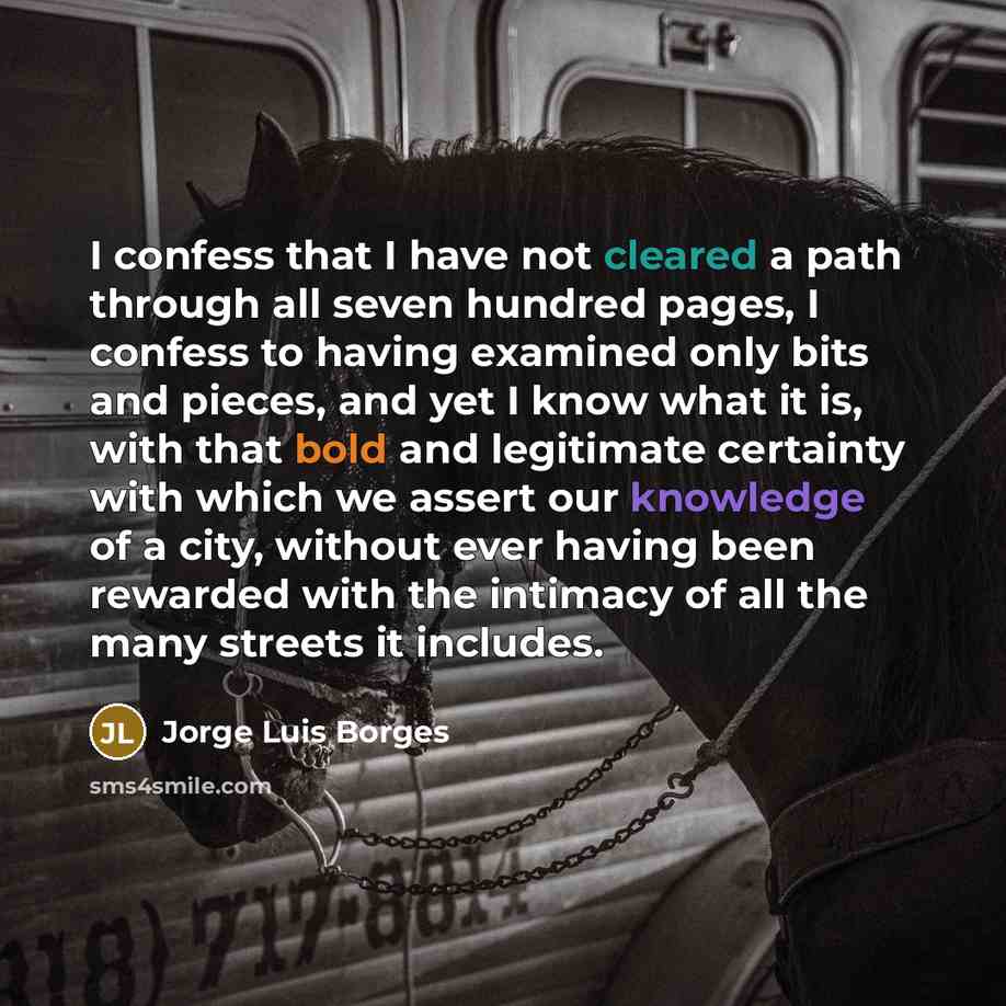 “I confess that I have not cleared a path through all seven hundred pages, I confess to having examined only bits and pieces, and yet I know what it is, with that bold and legitimate certainty with which we assert our knowledge of a city, without ever having been rewarded with the intimacy of all…” quote by Jorge Luis Borges