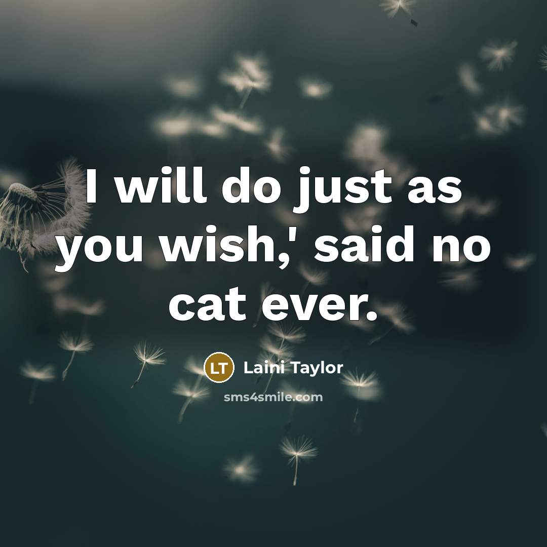 “I will do just as you wish,' said no cat…” quote by Laini Taylor