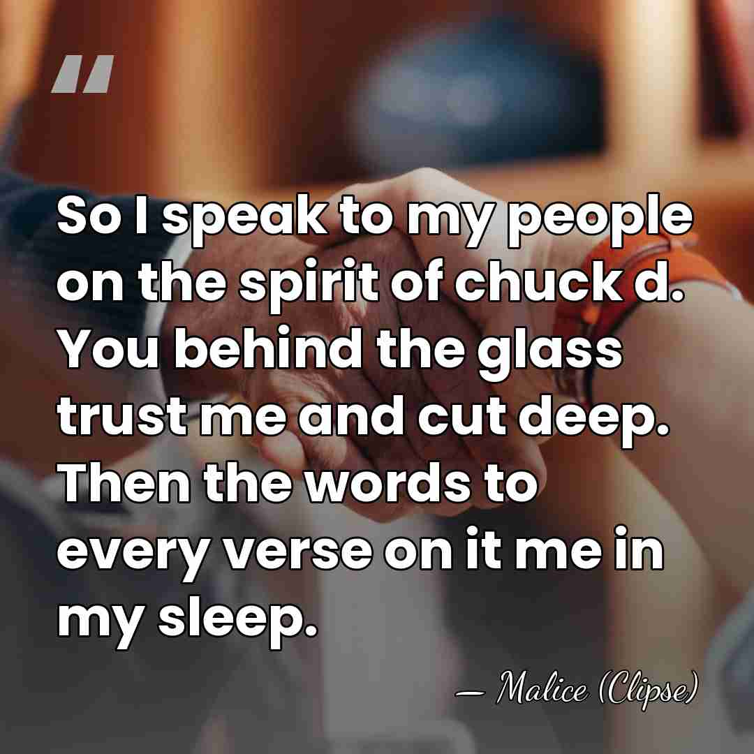 So I speak to my people on the spirit of chuck d.&hellip; - Malice (Clipse)