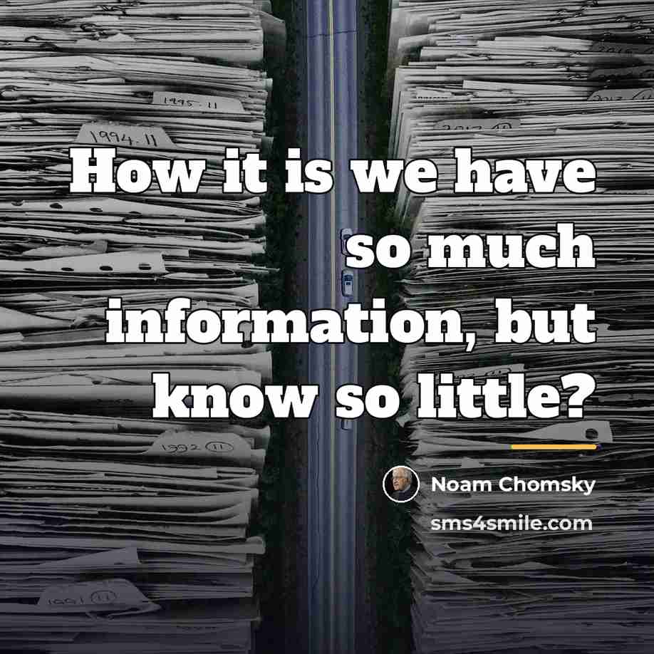 “How it is we have so much information, but know…” quote by Noam Chomsky