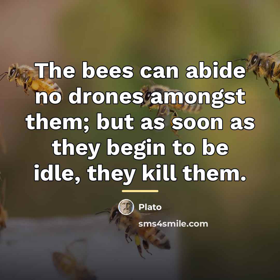 “The bees can abide no drones amongst them; but as…” quote by Plato