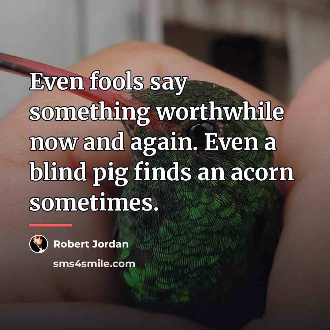 “Even fools say something worthwhile now and again. Even a…” quote by Robert Jordan