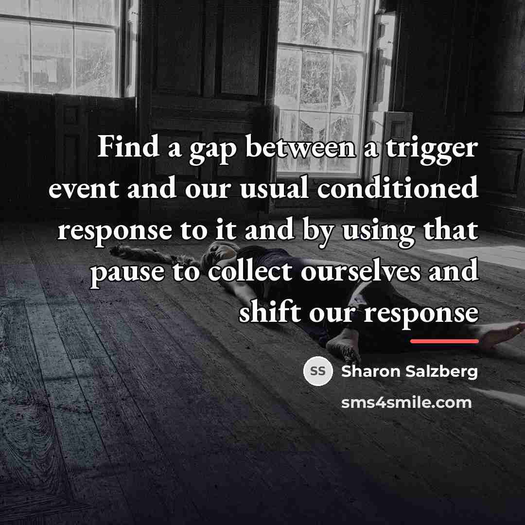 “Find a gap between a trigger event and our usual…” quote by Sharon Salzberg