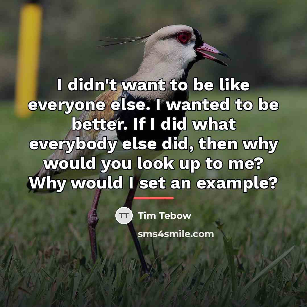 “I didn't want to be like everyone else. I wanted…” quote by Tim Tebow