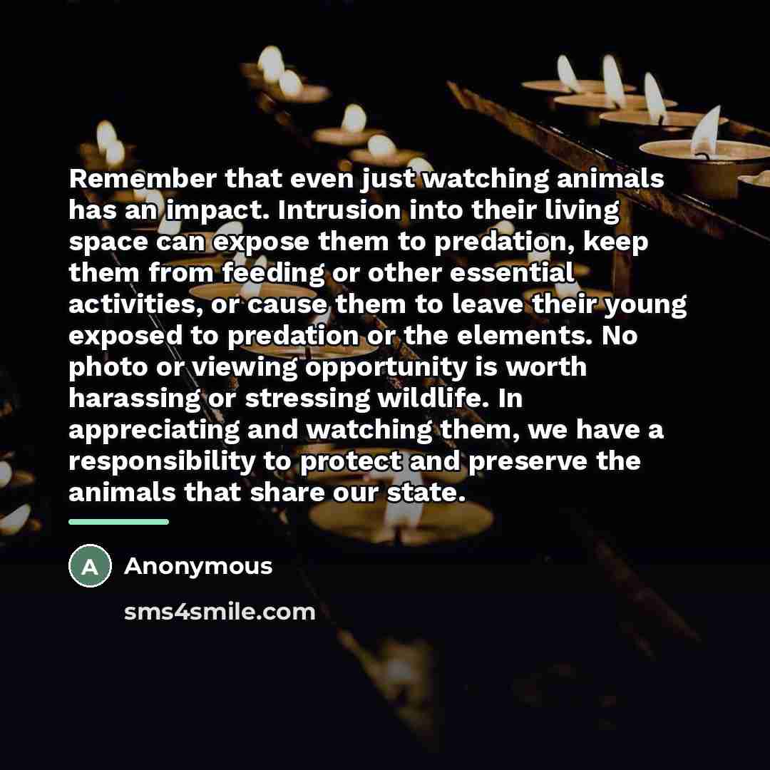 “Remember that even just watching animals has an impact. Intrusion…” quote by Mary Taylor