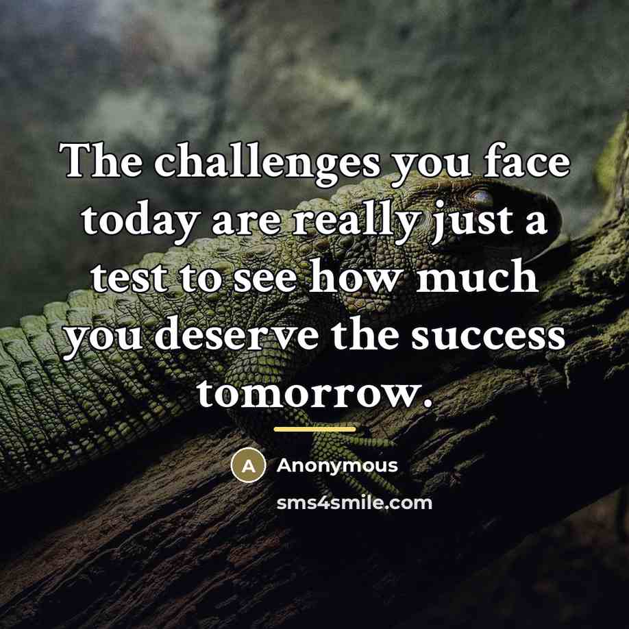“The challenges you face today are really just a test…” quote by Anonymous