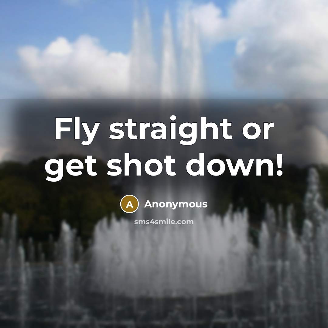 “Fly straight or get shot down!…” quote by Anonymous