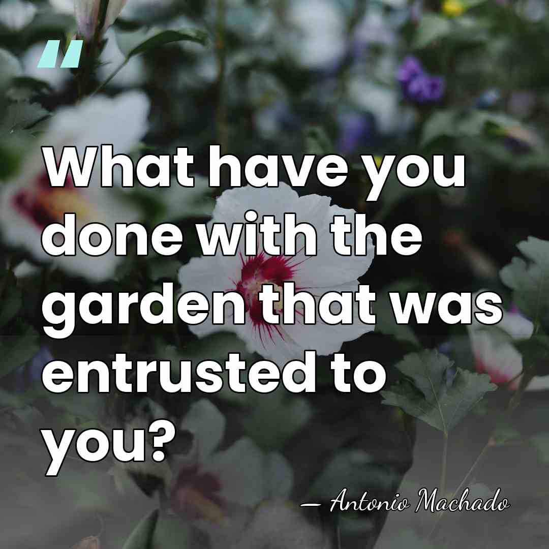 What have you done with the garden that was entrusted to you? - Antonio Machado