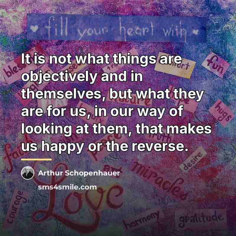 “It is not what things are objectively and in themselves,…” quote by Arthur Schopenhauer