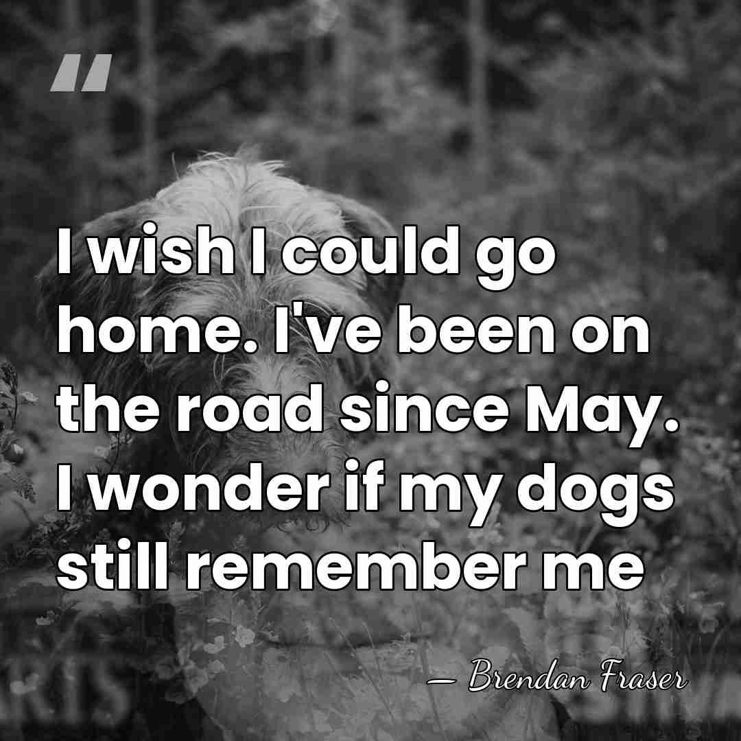 I wish I could go home. I've been on the road since&hellip; - Brendan Fraser