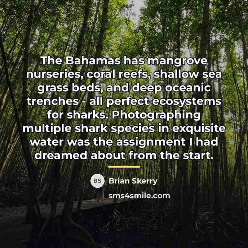 “The Bahamas has mangrove nurseries, coral reefs, shallow sea grass…” quote by Brian Skerry