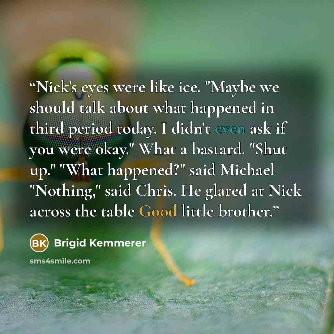 “Nick's eyes were like ice. "Maybe we should talk about what happened in third period today. I didn't even ask if you were okay." What a bastard. "Shut up." "What happened?" said Michael "Nothing," said Chris. He glared at Nick across the table Good little brother.” quote by Brigid Kemmerer
