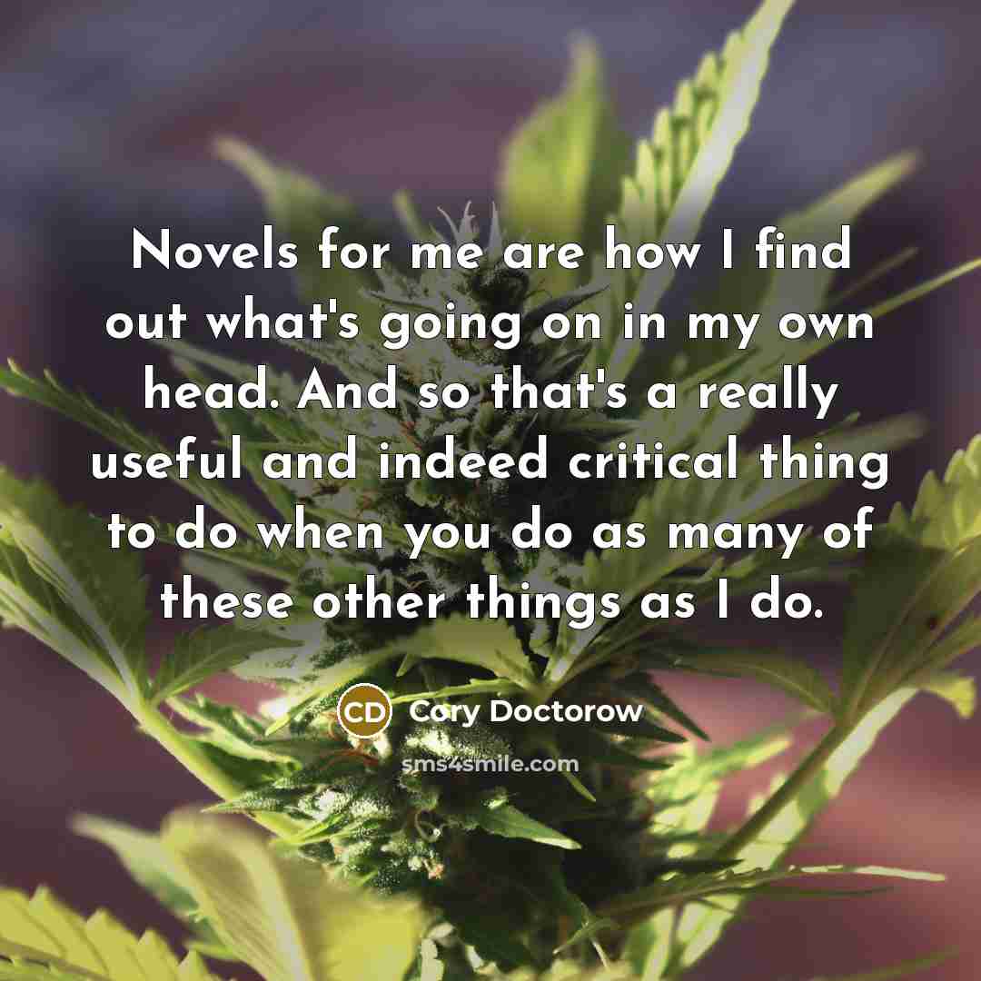 “Novels for me are how I find out what's going…” quote by Cory Doctorow