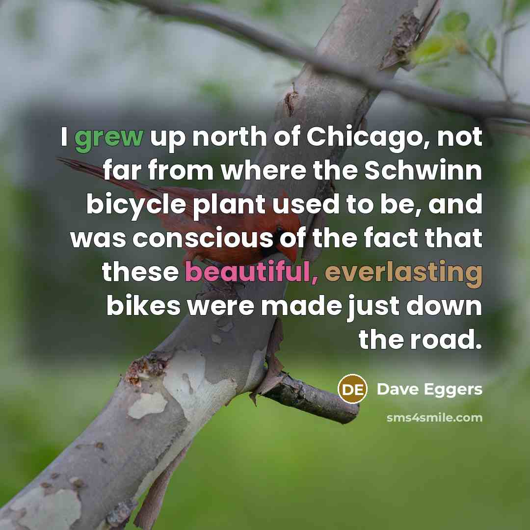 “I grew up north of Chicago, not far from where…” quote by Dave Eggers