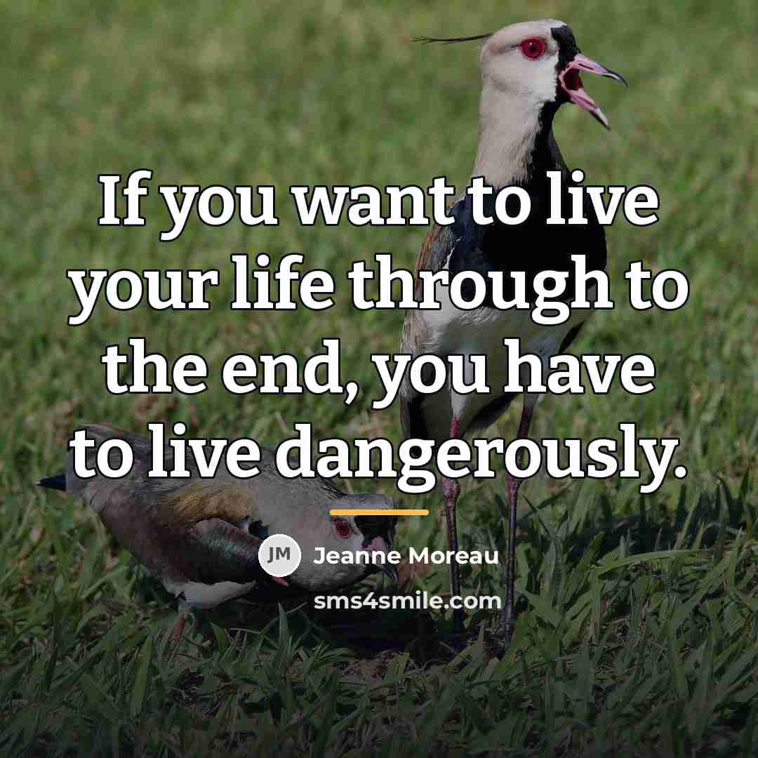 “If you want to live your life through to the…” quote by Jeanne Moreau