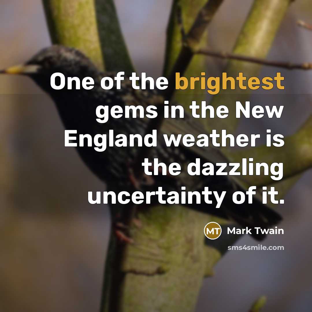 “One of the brightest gems in the New England weather…” quote by Mark Twain