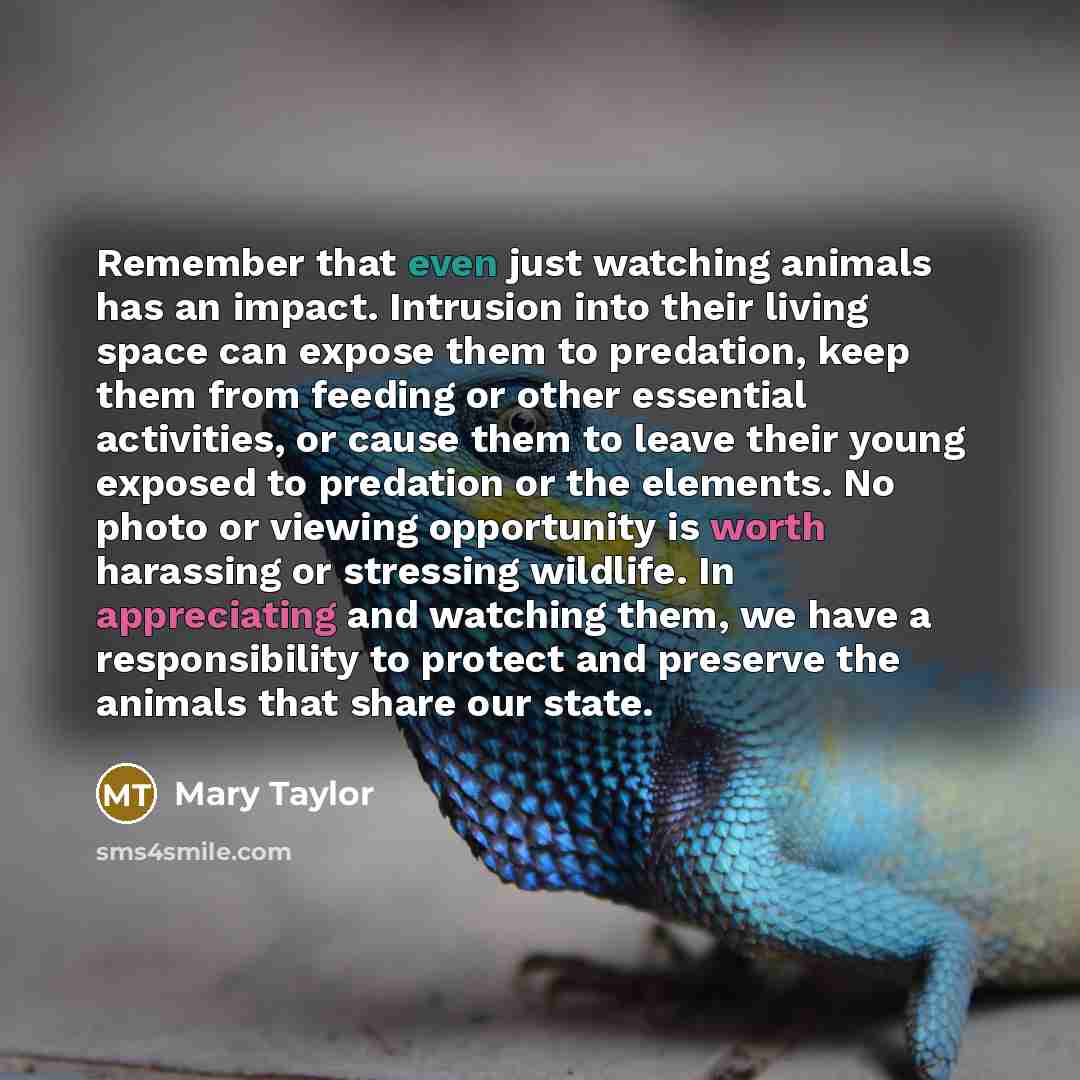 “Remember that even just watching animals has an impact. Intrusion into their living space can expose them to predation, keep them from feeding or other essential activities, or cause them to leave their young exposed to predation or the elements. No photo or viewing opportunity is worth harassing…” quote by Mary Taylor