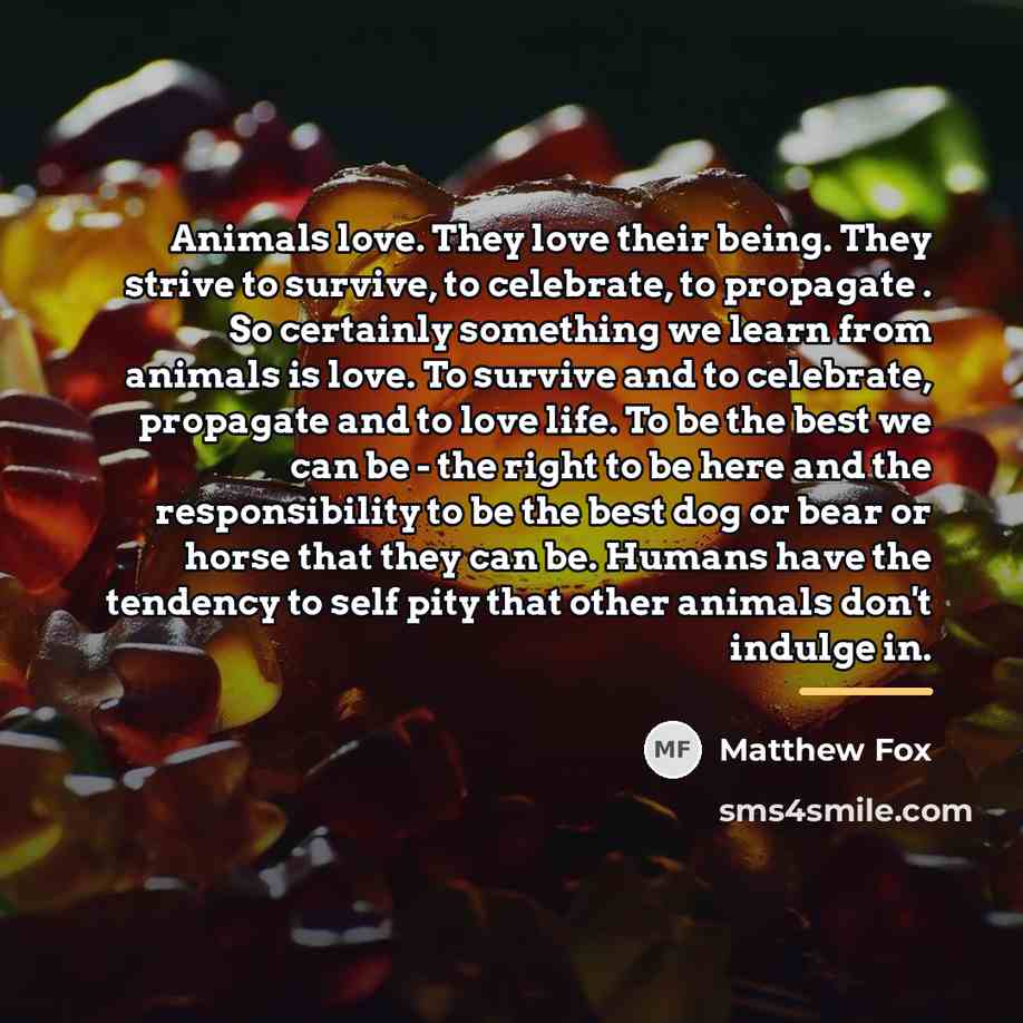 “Animals love. They love their being. They strive to survive,…” quote by Matthew Fox