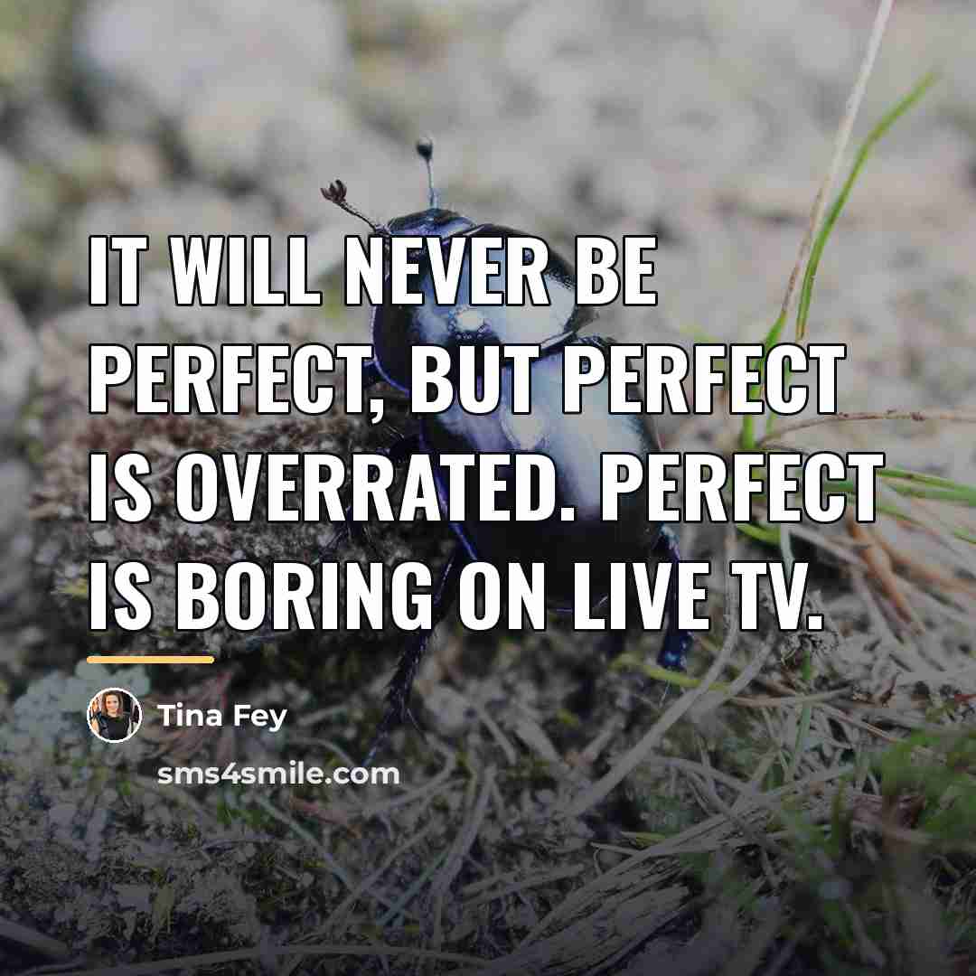 “It will never be perfect, but perfect is overrated. Perfect…” quote by Tina Fey