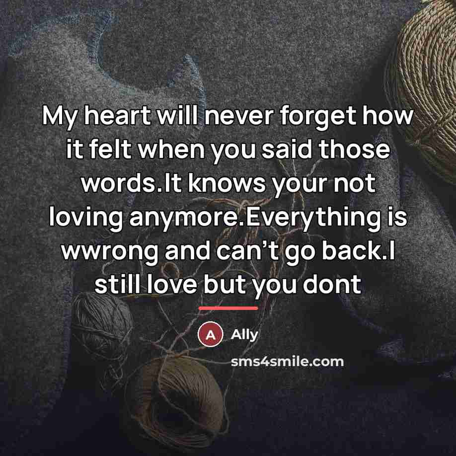 “My heart will never forget how it felt when you…” quote by Ally