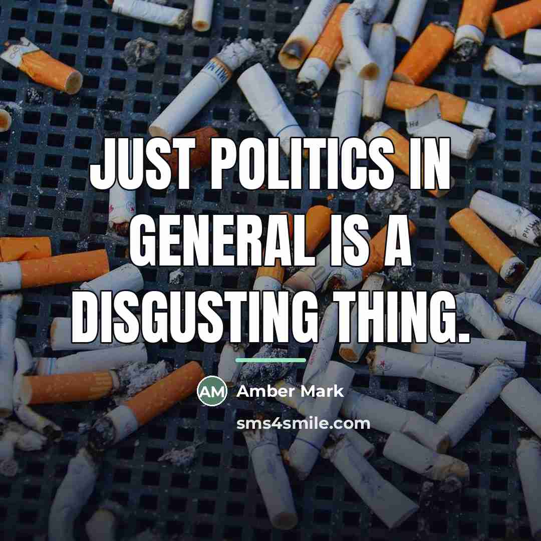 “Just politics in general is a disgusting thing.…” quote by Amber Mark