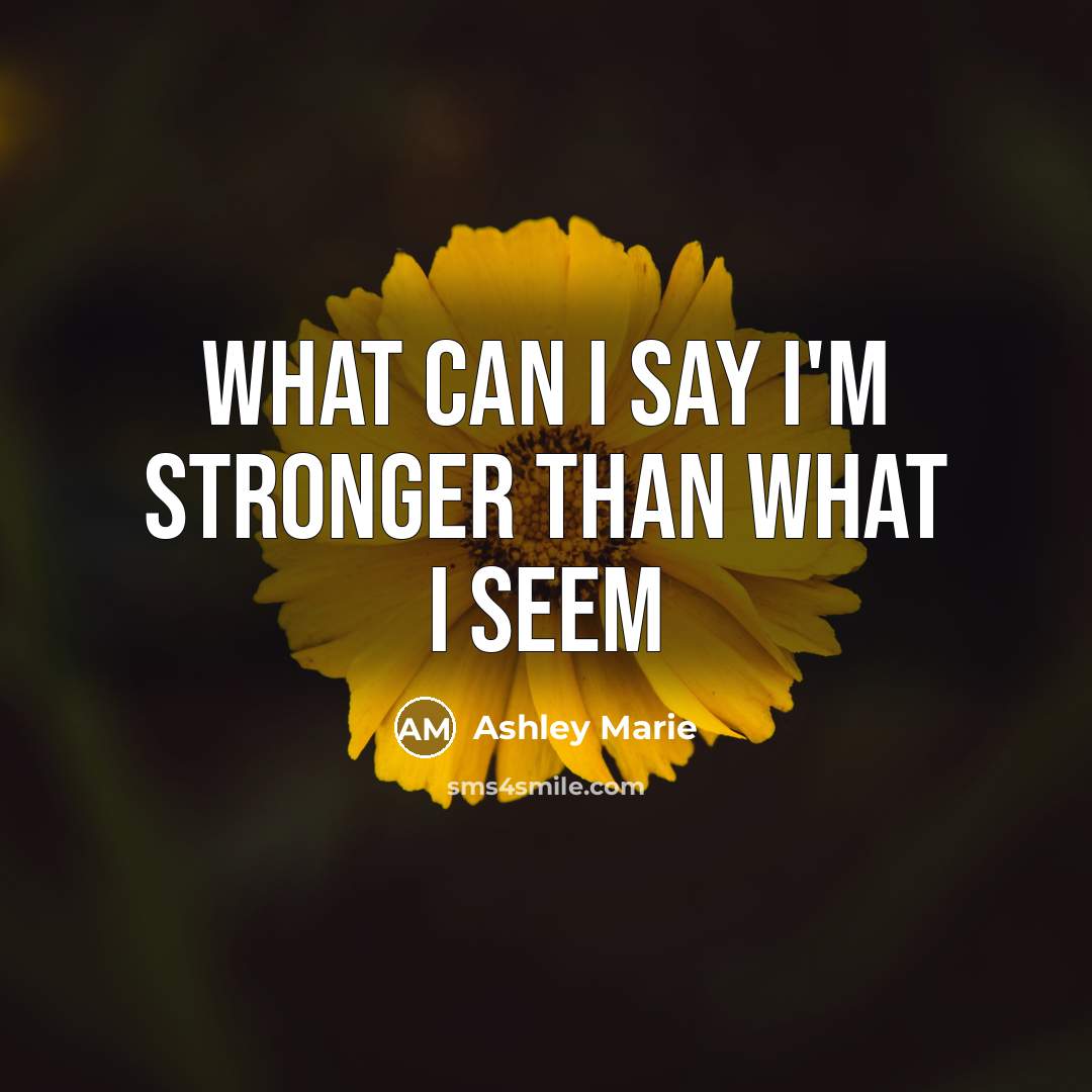 “What can I say I'm stronger than what I seem…” quote by Ashley Marie