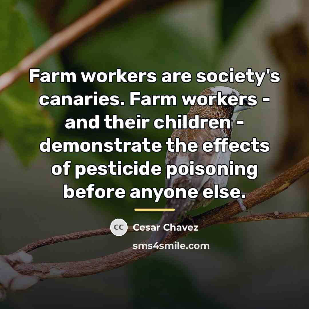 “Farm workers are society's canaries. Farm workers - and their…” quote by Cesar Chavez