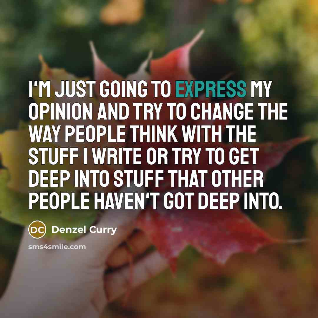 “I'm just going to express my opinion and try to…” quote by Denzel Curry
