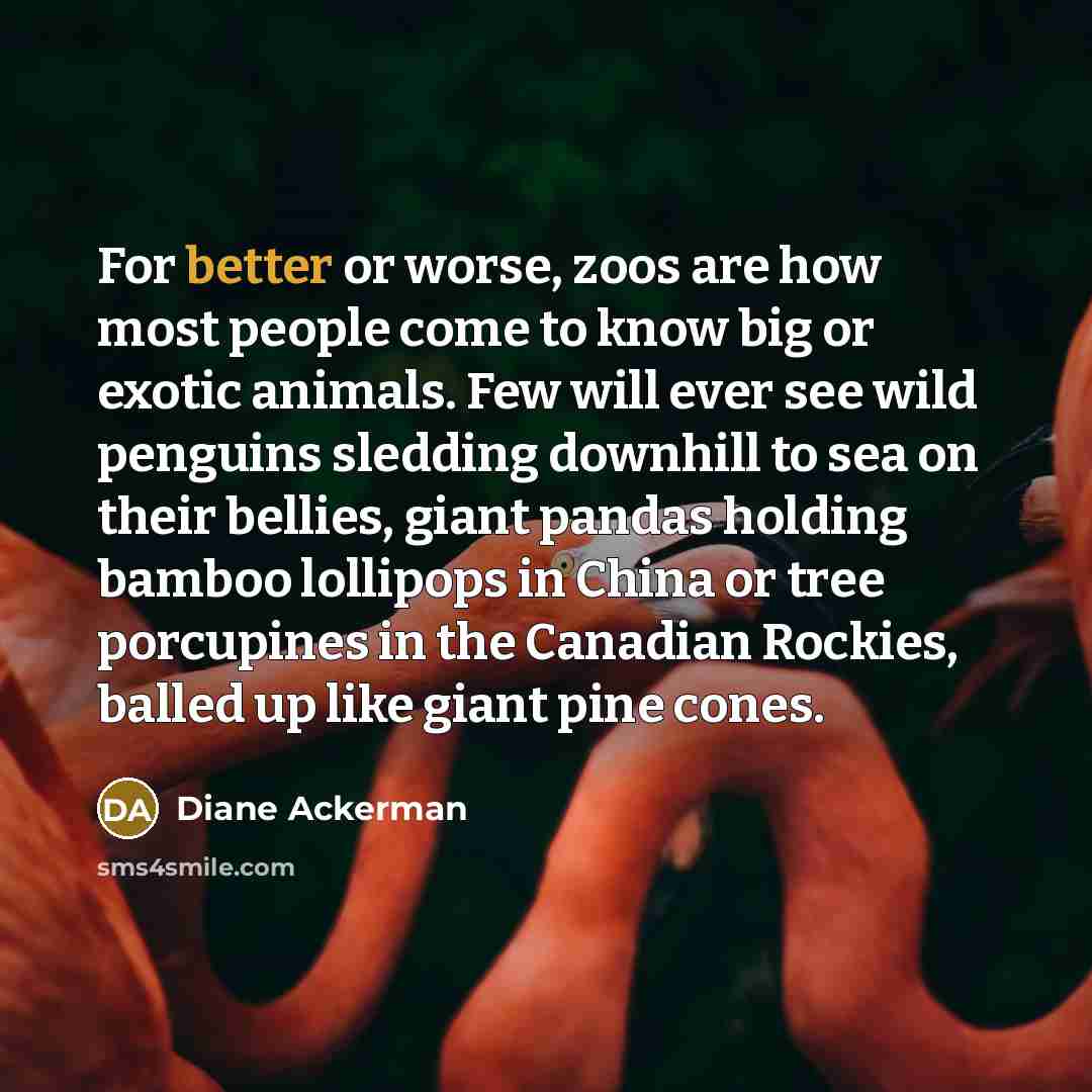 “For better or worse, zoos are how most people come…” quote by Diane Ackerman
