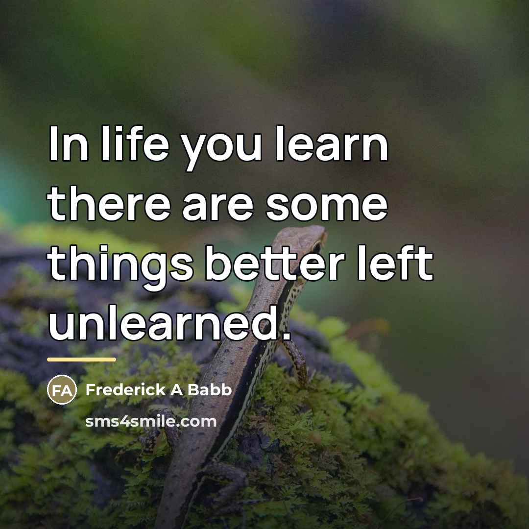 “In life you learn there are some things better left…” quote by Frederick A Babb