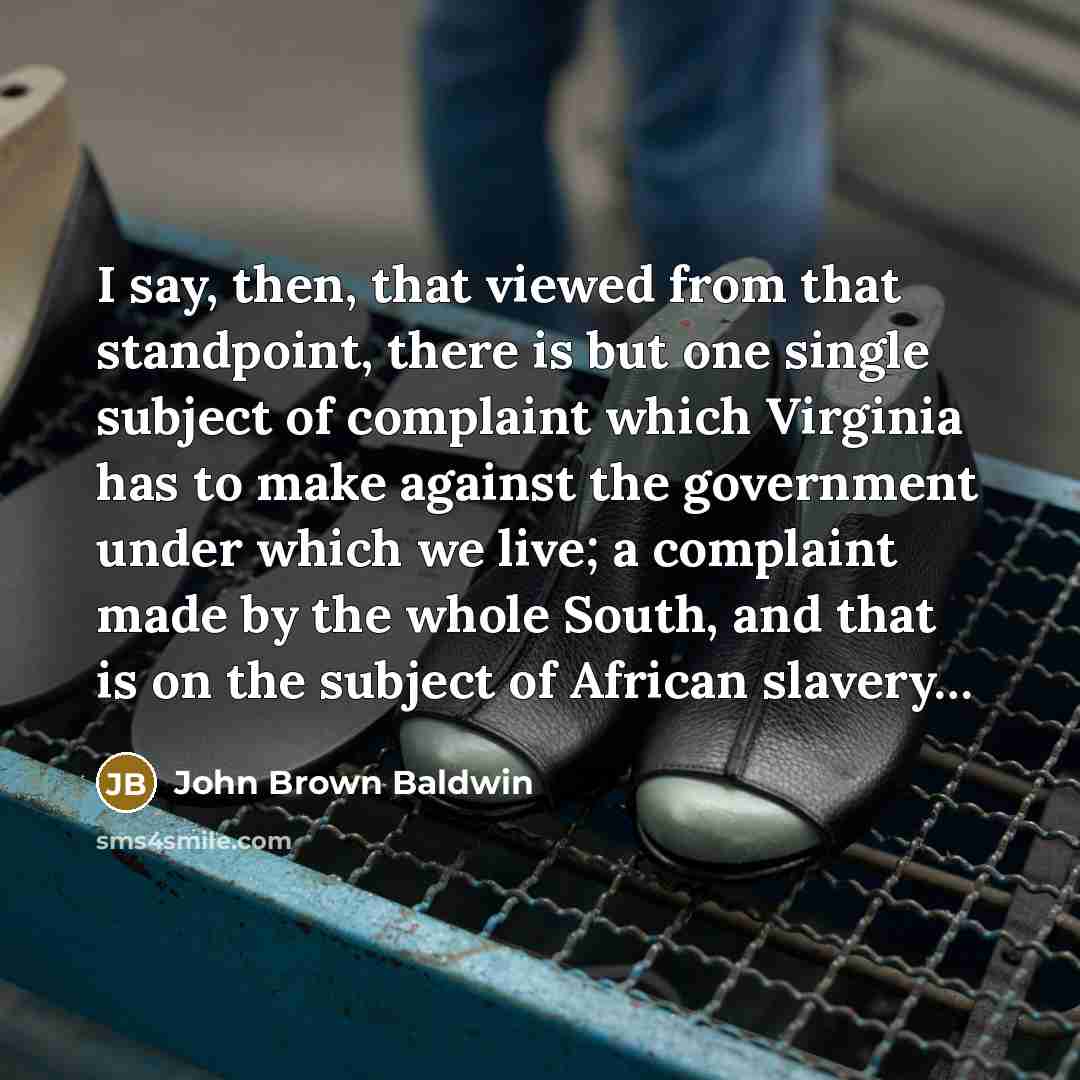 “I say, then, that viewed from that standpoint, there is…” quote by John Brown Baldwin