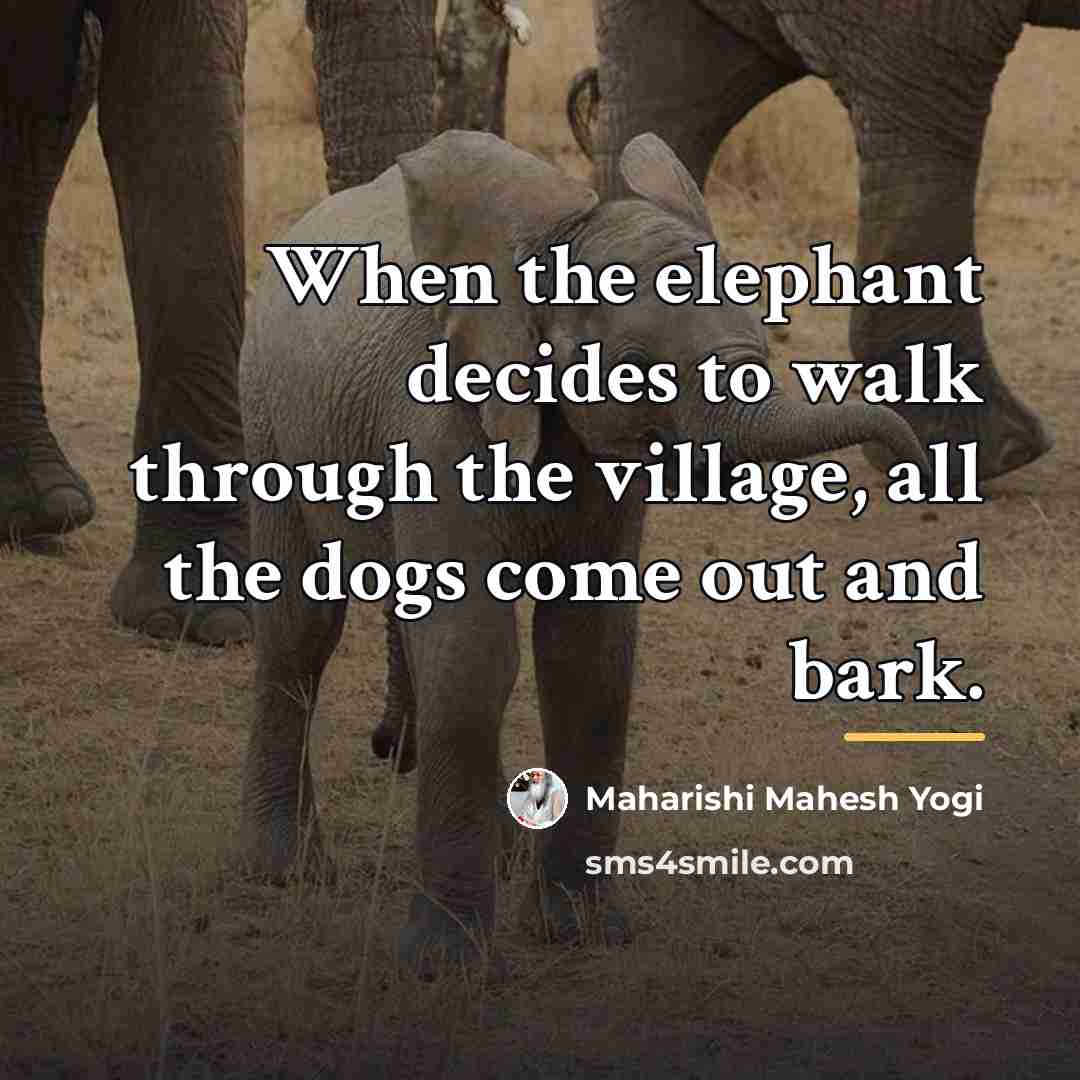 “When the elephant decides to walk through the village, all…” quote by Maharishi Mahesh Yogi