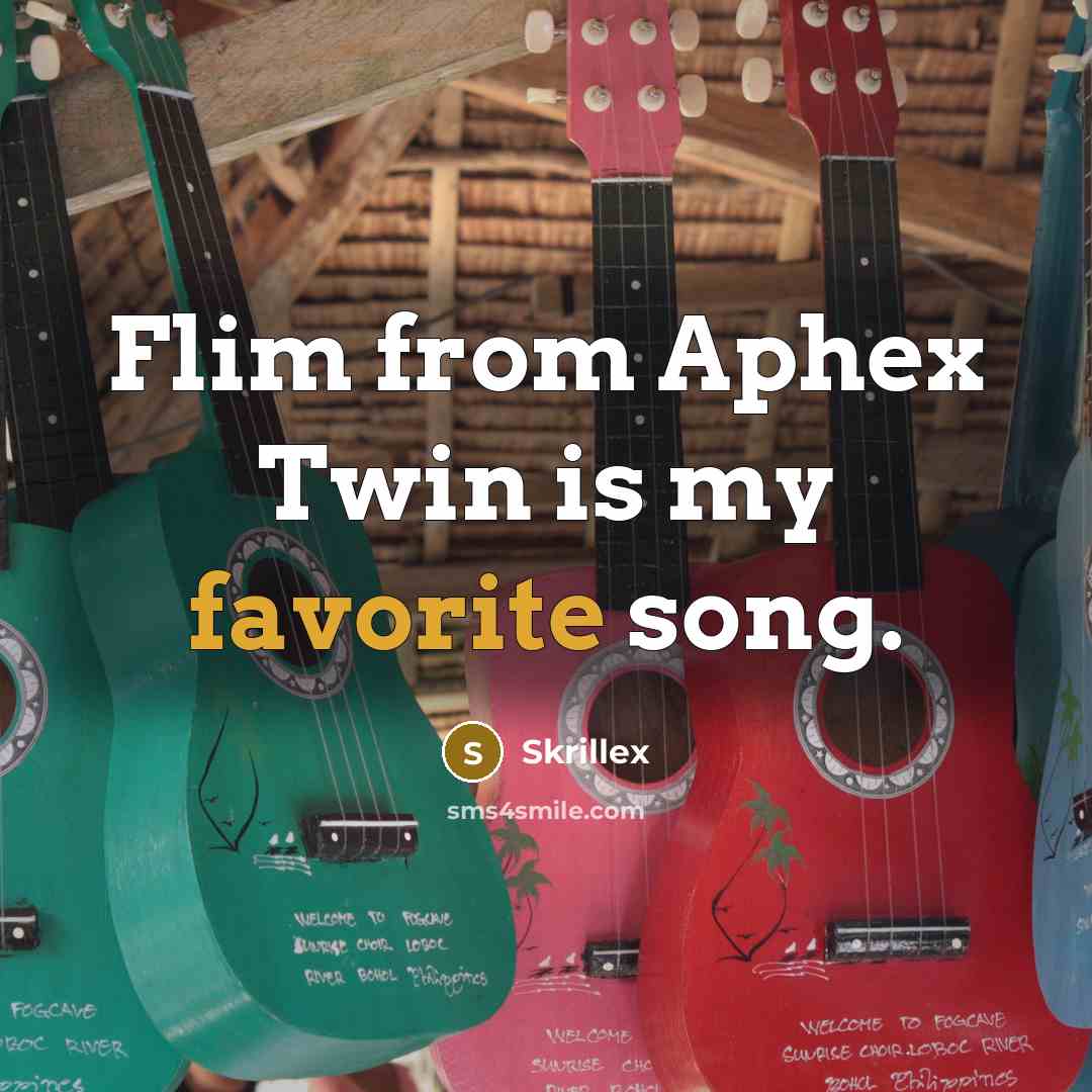 “Flim from Aphex Twin is my favorite song.…” quote by Skrillex