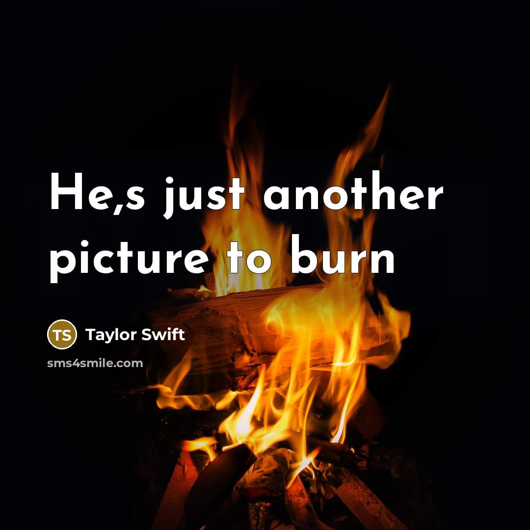“He,s just another picture to burn” quote by Taylor Swift