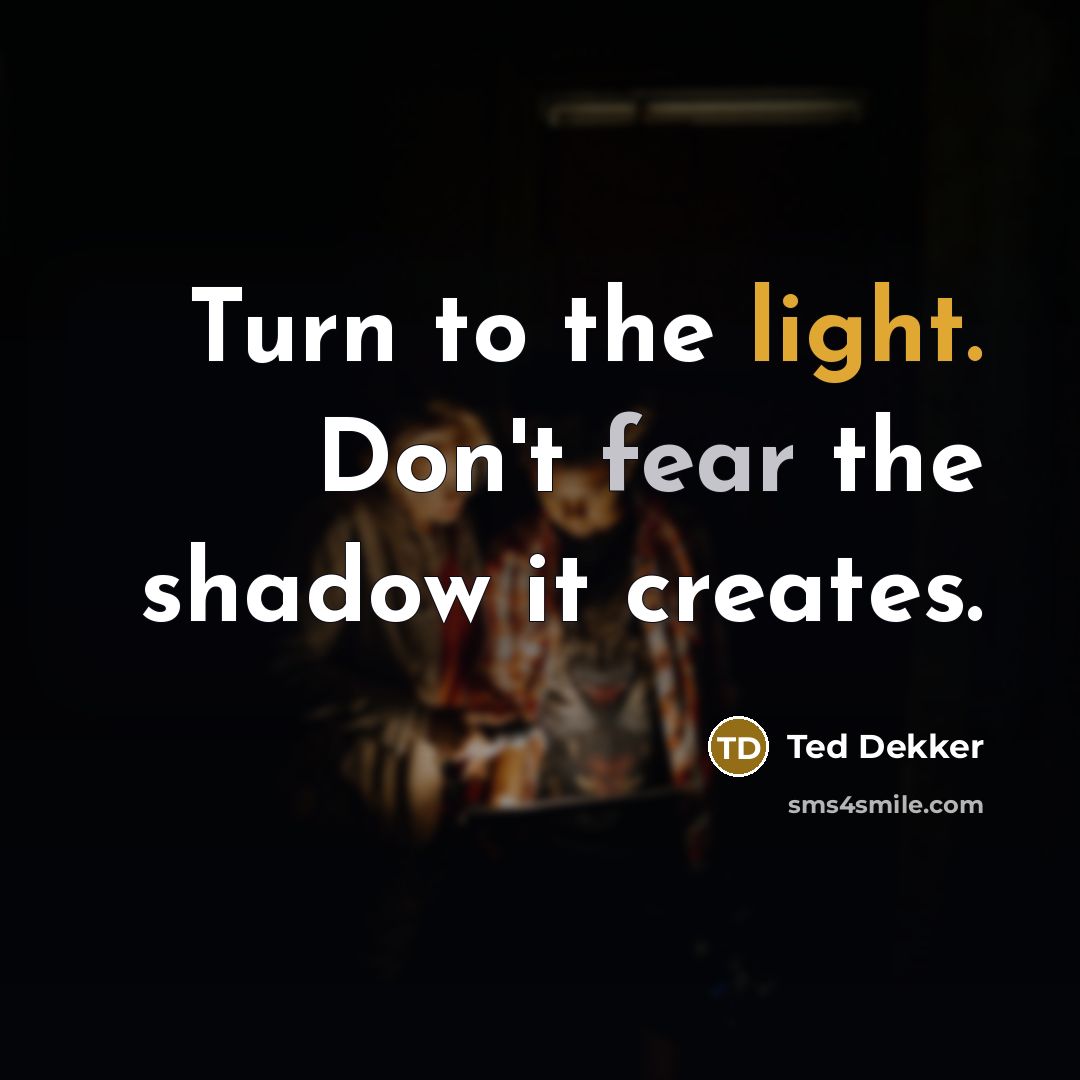 “Turn to the light. Don't fear the shadow it creates.…” quote by Ted Dekker